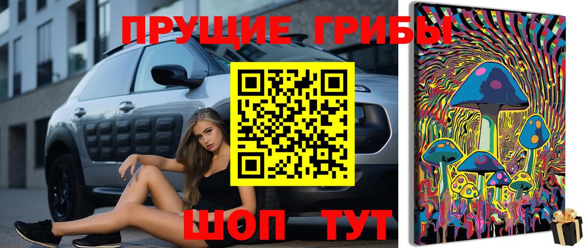 Псилоцибиновые грибы Psilocybe  Вход с VPN  Галлюциногенные грибы Psilocybine cubensis  Котельники 
